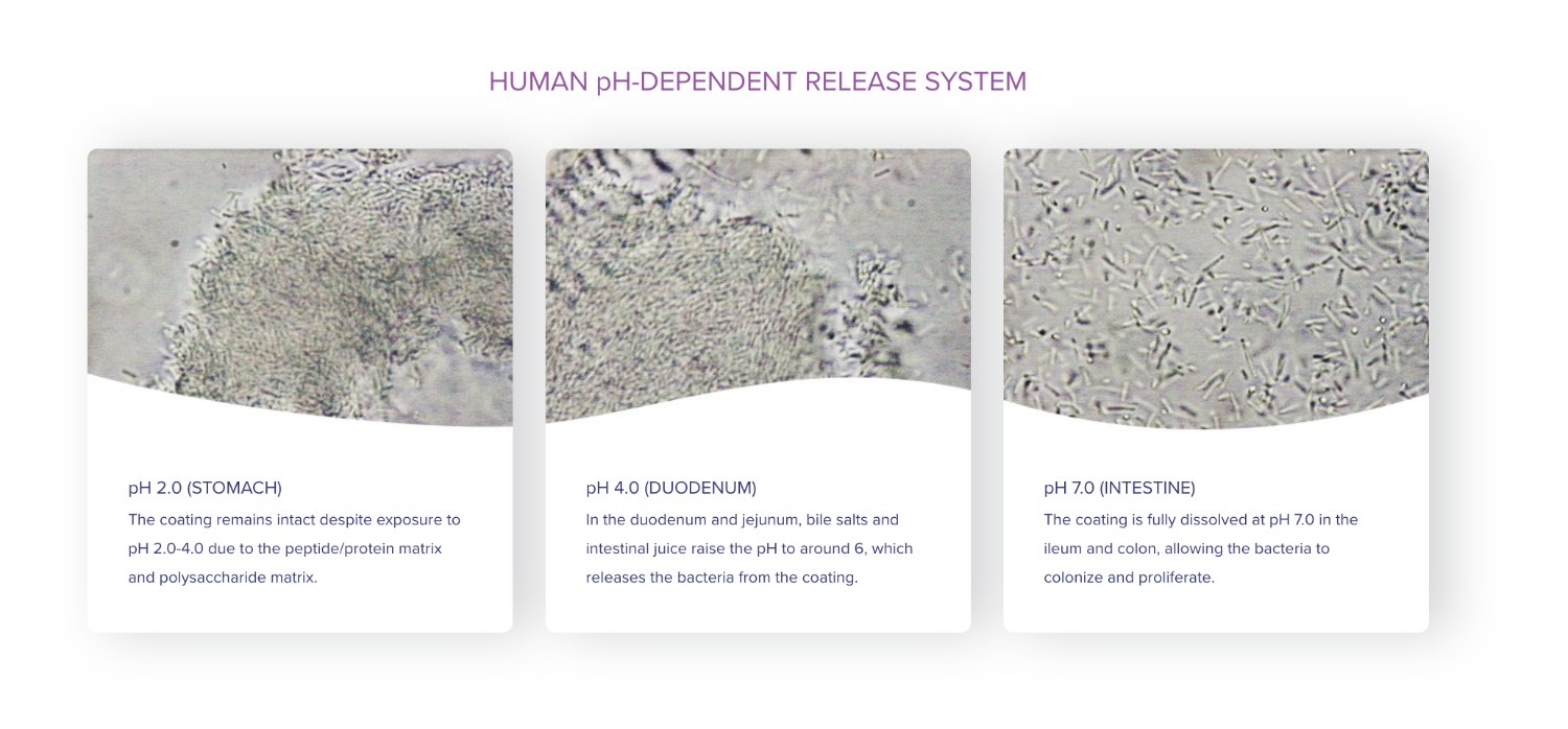pH-dependent release